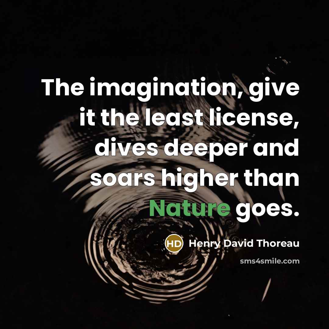 “The imagination, give it the least license, dives deeper and soars higher than Nature goes.” quote by Henry David Thoreau