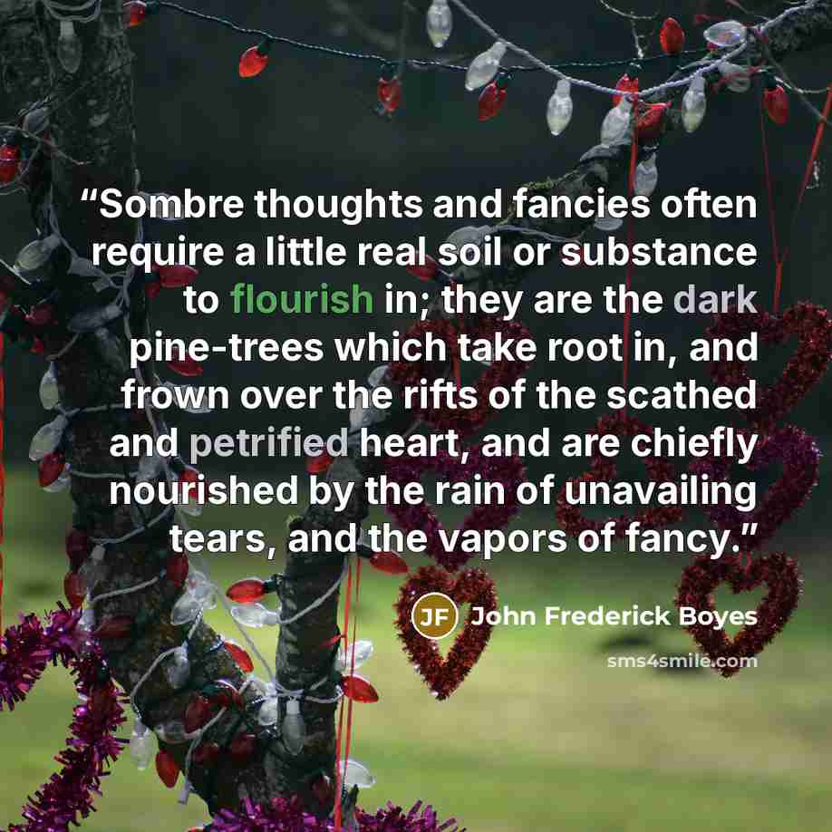“Sombre thoughts and fancies often require a little real soil or substance to flourish in; they are the dark pine-trees which take root in, and frown over the rifts of the scathed and petrified heart, and are chiefly nourished by the rain of unavailing tears, and the vapors of fancy.” quote by John Frederick Boyes