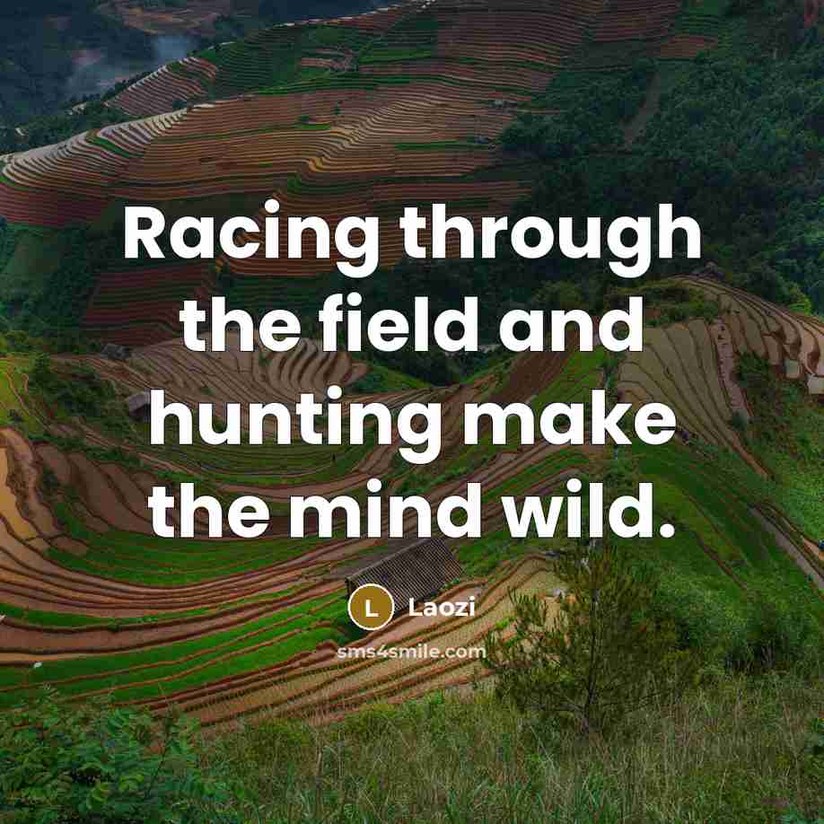 “Racing through the field and hunting make the mind wild.” quote by Laozi