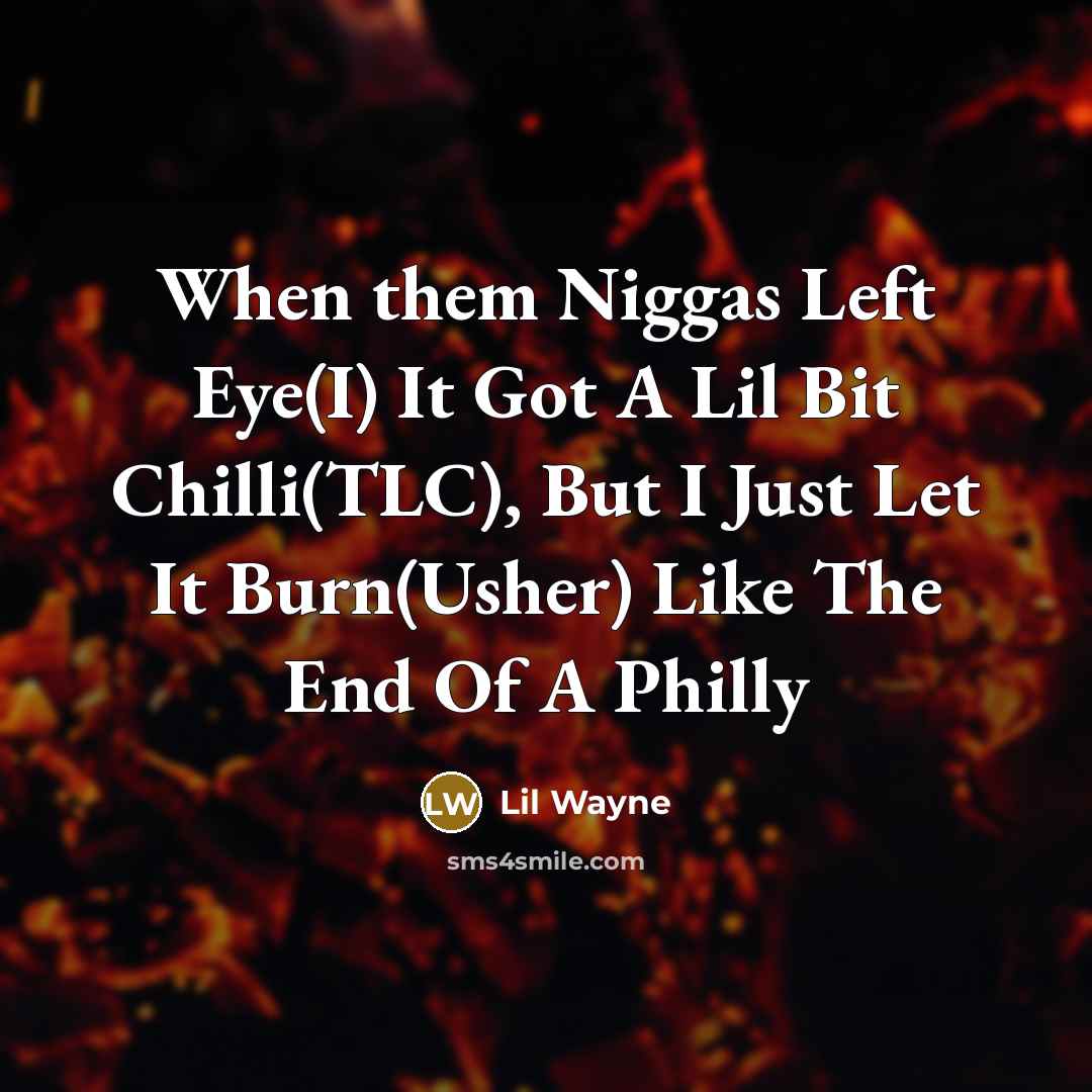 “When them Niggas Left Eye(I) It Got A Lil Bit Chilli(TLC), But I Just Let It Burn(Usher) Like The End Of A Philly” quote by Lil Wayne