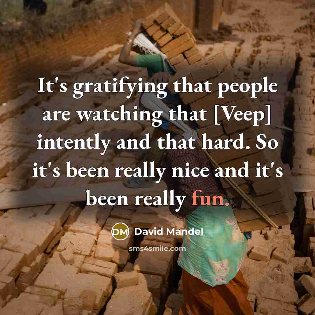 “It's gratifying that people are watching that [Veep] intently and that hard. So it's been really nice and it's been really fun.” quote by David Mandel