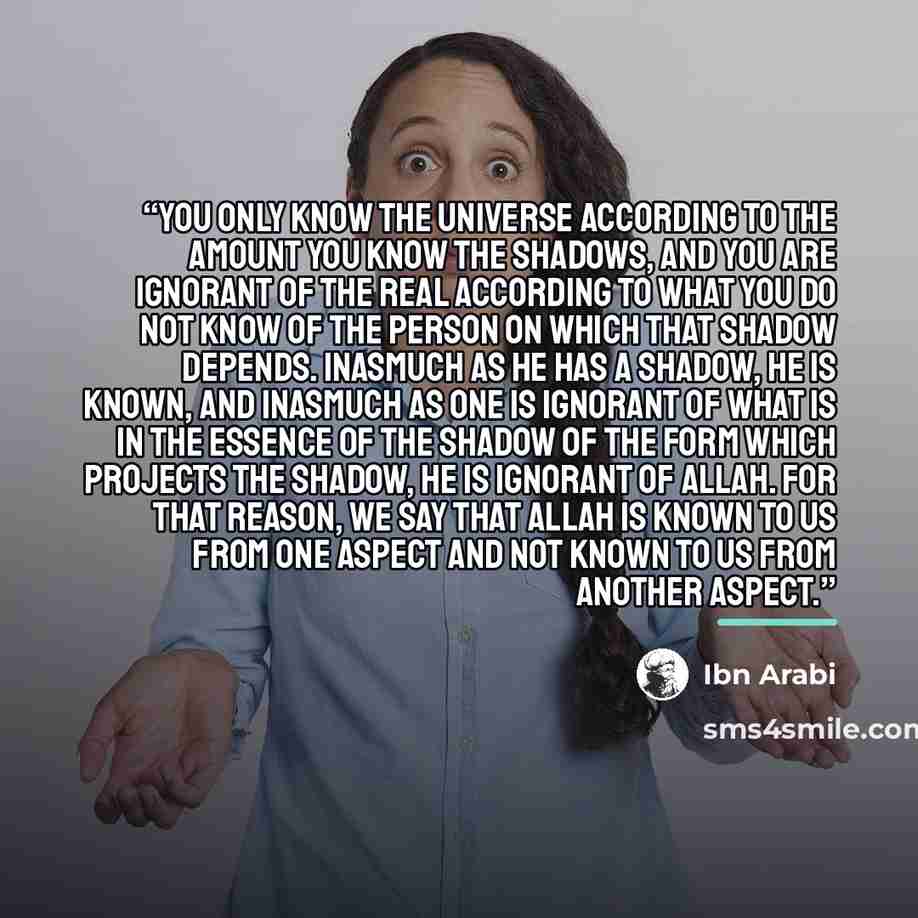 “You only know the universe according to the amount you know the shadows, and you are ignorant of the Real according to what you do not know of the person on which that shadow depends. Inasmuch as He has a shadow, He is known, and inasmuch as one is ignorant of what is in the essence of the shadow…” quote by Ibn Arabi