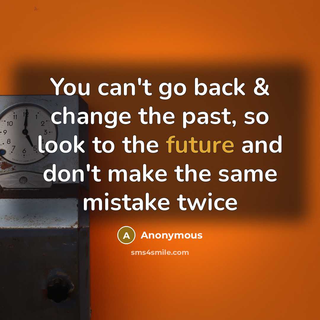 “You can't go back & change the past, so look to the future and don't make the same mistake twice” quote by Anonymous
