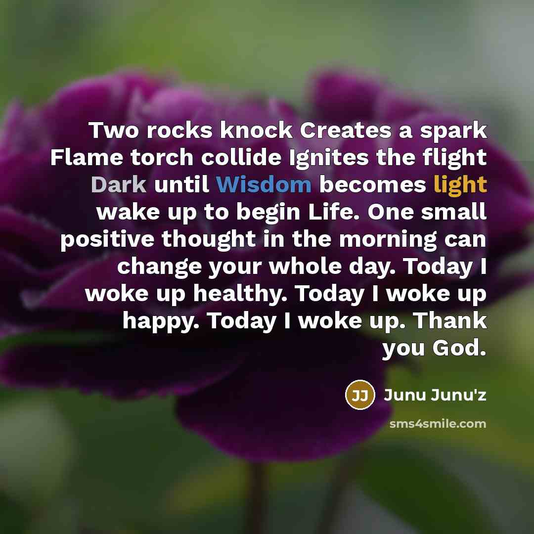 “Two rocks knock Creates a spark Flame torch collide Ignites the flight Dark until Wisdom becomes light wake up to begin Life. One small positive thought in the morning can change your whole day. Today I woke up healthy. Today I woke up happy. Today I woke up. Thank you God.” quote by Junu Junu'z