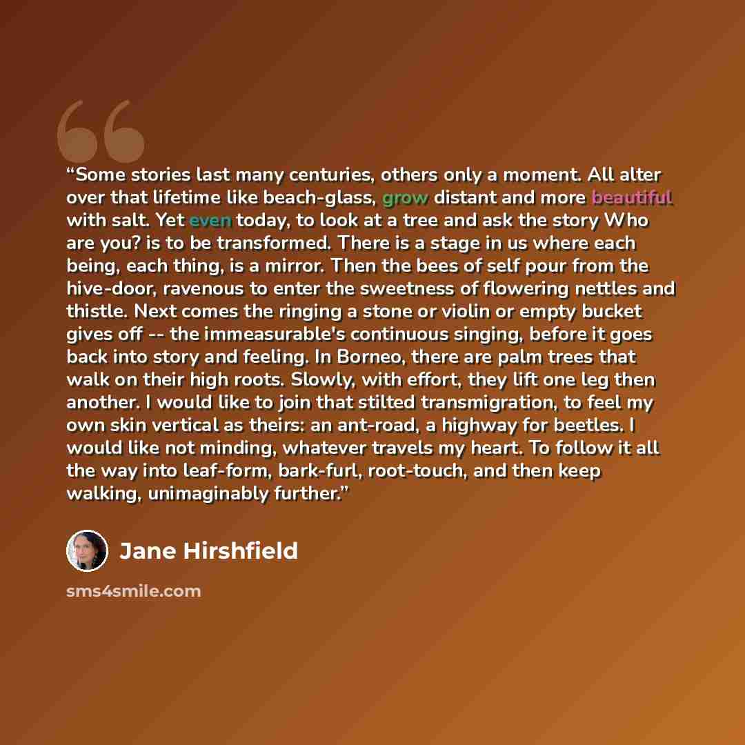 “Some stories last many centuries, others only a moment. All alter over that lifetime like beach-glass, grow distant and more beautiful with salt. Yet even today, to look at a tree and ask the story Who are you? is to be transformed. There is a stage in us where each being, each thing, is a mirror…” quote by Jane Hirshfield