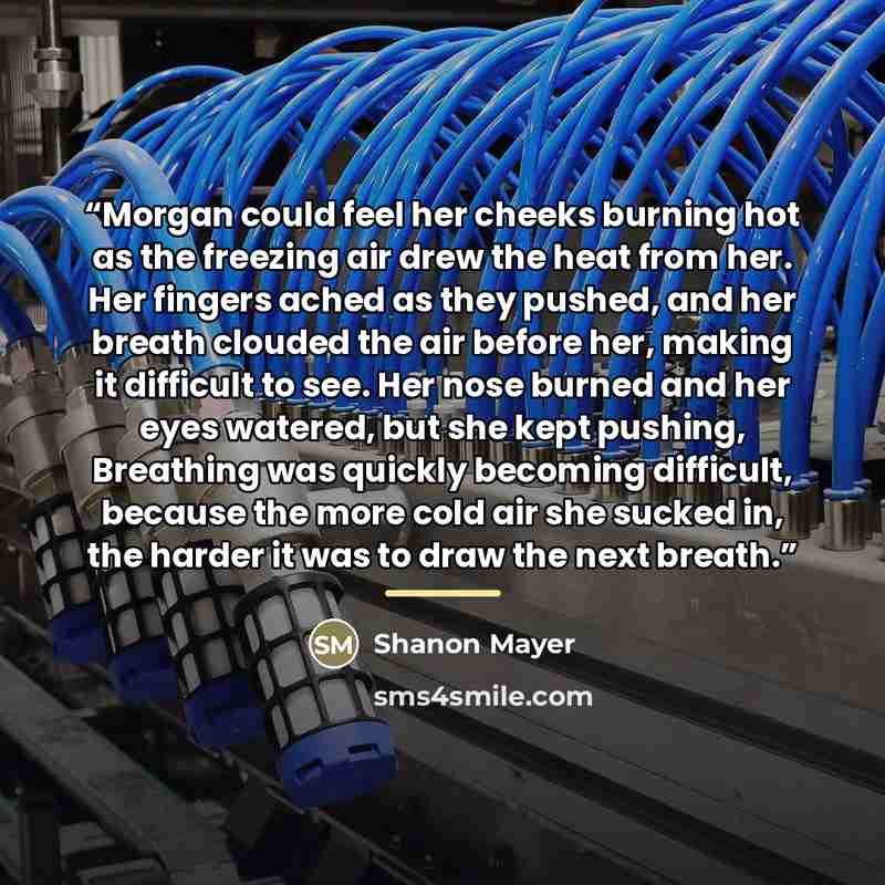 “Morgan could feel her cheeks burning hot as the freezing air drew the heat from her. Her fingers ached as they pushed, and her breath clouded the air before her, making it difficult to see. Her nose burned and her eyes watered, but she kept pushing, Breathing was quickly becoming difficult…” quote by Shanon Mayer