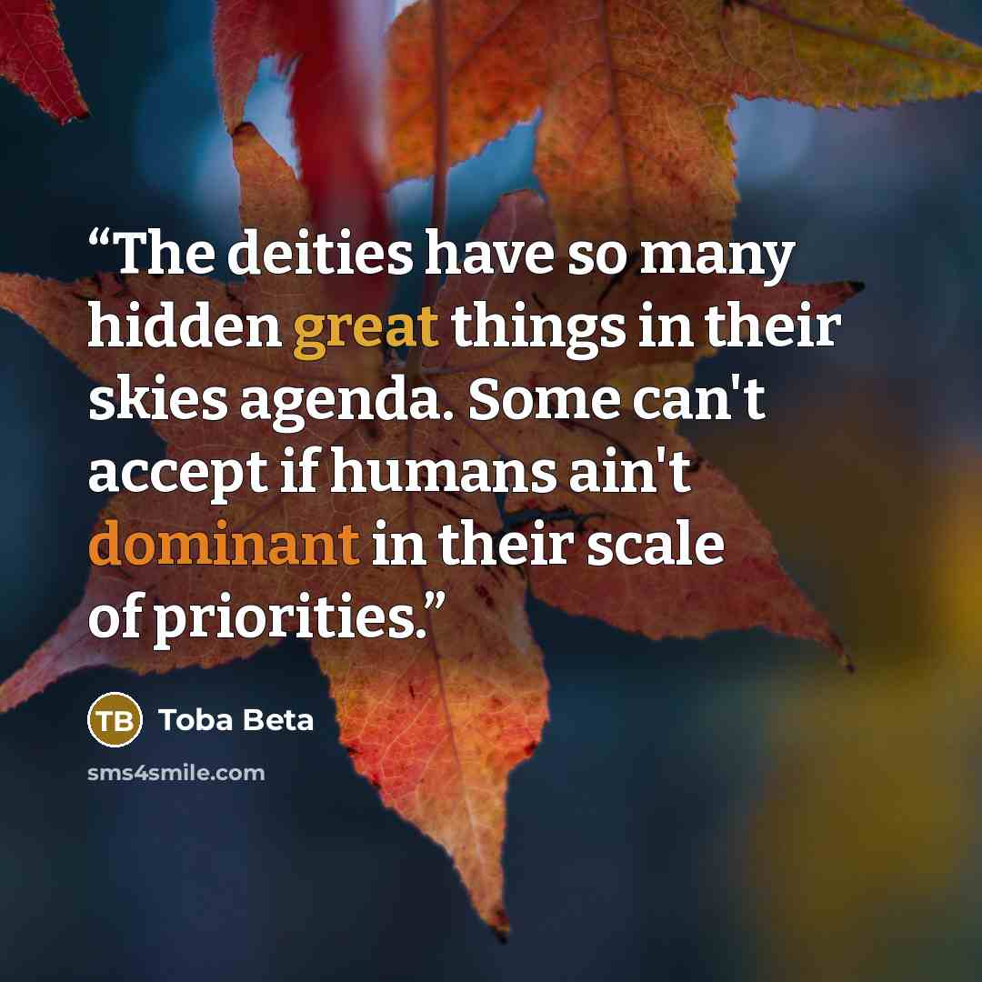 “The deities have so many hidden great things in their skies agenda. Some can't accept if humans ain't dominant in their scale of priorities.” quote by Toba Beta