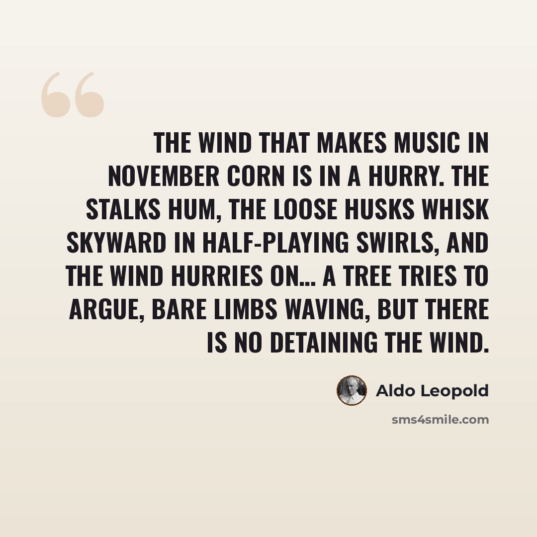 “The wind that makes music in November corn is in a hurry. The stalks hum, the loose husks whisk skyward in half-playing swirls, and the wind hurries on… A tree tries to argue, bare limbs waving, but there is no detaining the wind.” quote by Aldo Leopold