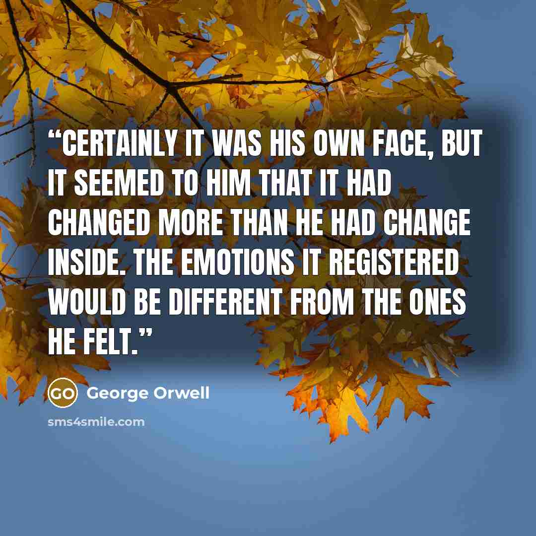 “Certainly it was his own face, but it seemed to him that it had changed more than he had change inside. The emotions it registered would be different from the ones he felt.” quote by George Orwell
