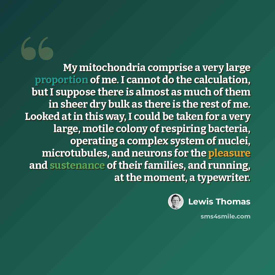 “My mitochondria comprise a very large proportion of me. I cannot do the calculation, but I suppose there is almost as much of them in sheer dry bulk as there is the rest of me. Looked at in this way, I could be taken for a very large, motile colony of respiring bacteria, operating a complex system…” quote by Lewis Thomas