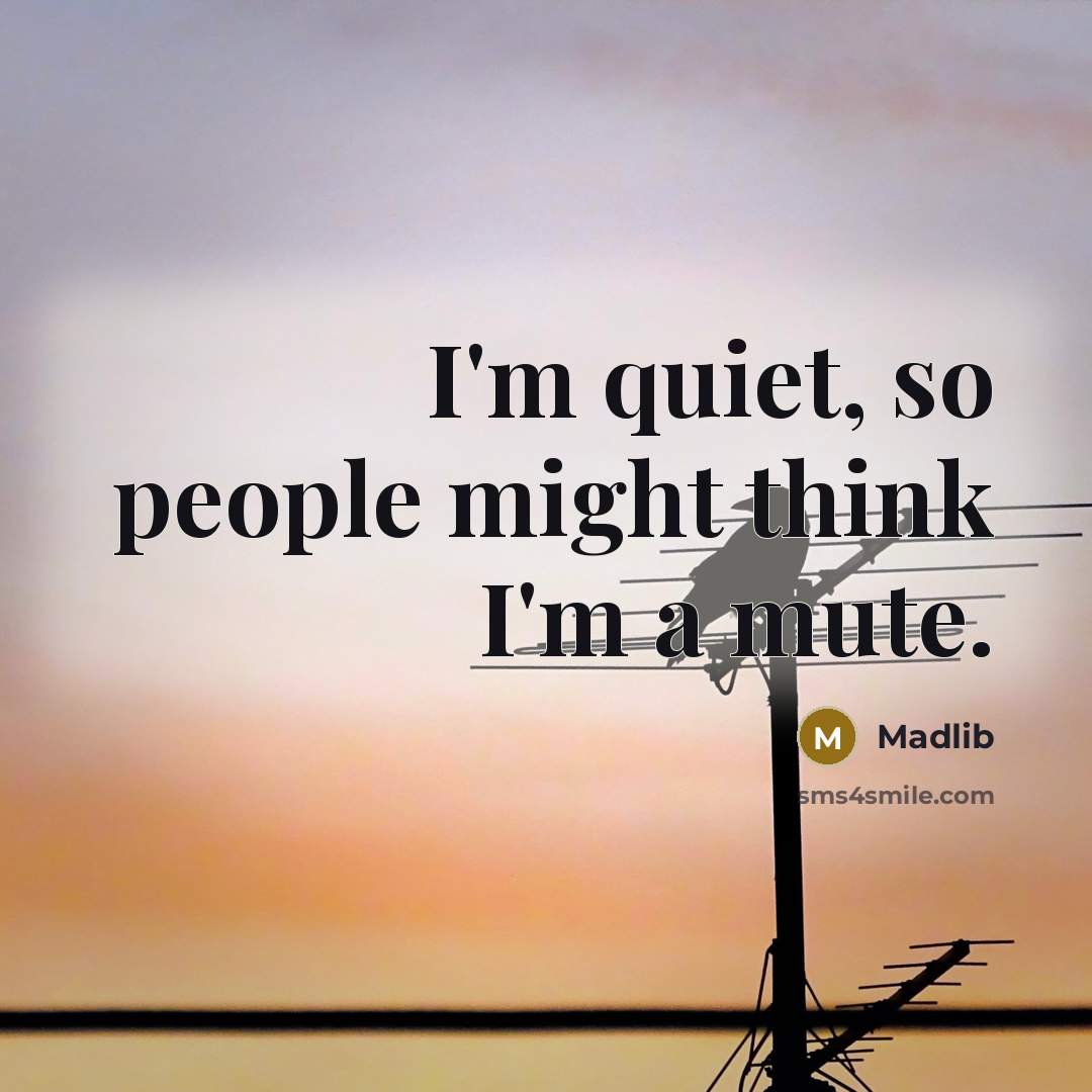 “I'm quiet, so people might think I'm a mute.” quote by Madlib