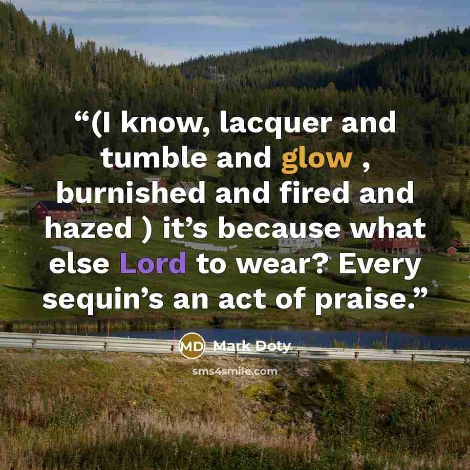 “(I know, lacquer and tumble and glow , burnished and fired and hazed ) it’s because what else Lord to wear? Every sequin’s an act of praise.” quote by Mark Doty