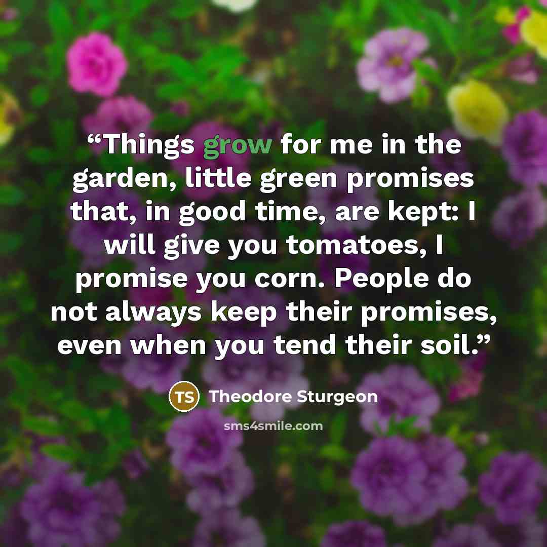 “Things grow for me in the garden, little green promises that, in good time, are kept: I will give you tomatoes, I promise you corn. People do not always keep their promises, even when you tend their soil.” quote by Theodore Sturgeon