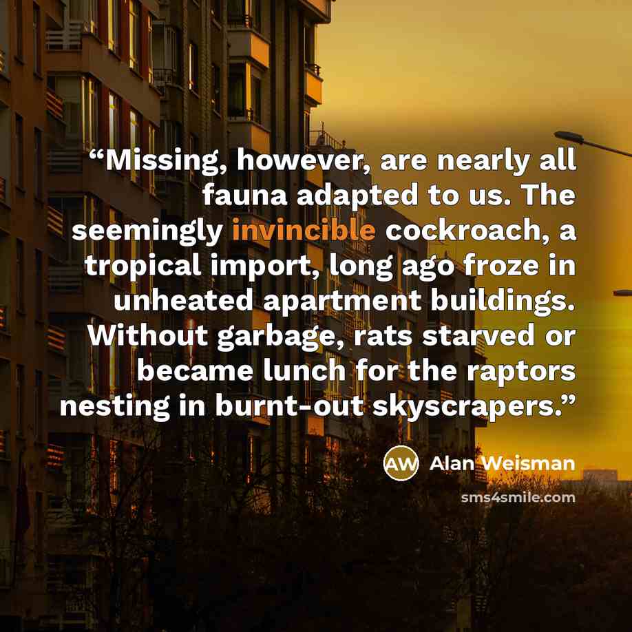 “Missing, however, are nearly all fauna adapted to us. The seemingly invincible cockroach, a tropical import, long ago froze in unheated apartment buildings. Without garbage, rats starved or became lunch for the raptors nesting in burnt-out skyscrapers.” quote by Alan Weisman