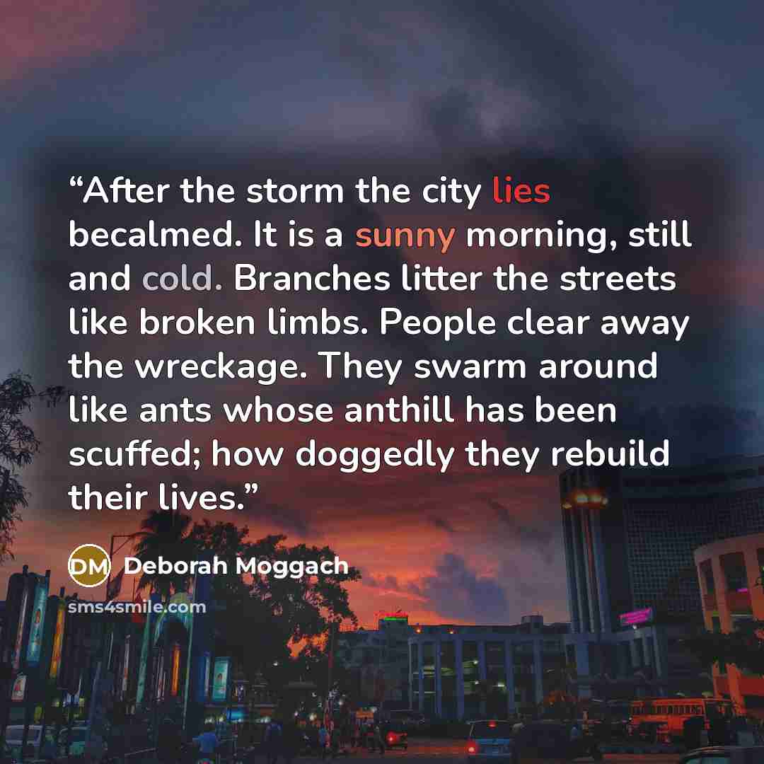 “After the storm the city lies becalmed. It is a sunny morning, still and cold. Branches litter the streets like broken limbs. People clear away the wreckage. They swarm around like ants whose anthill has been scuffed; how doggedly they rebuild their lives.” quote by Deborah Moggach