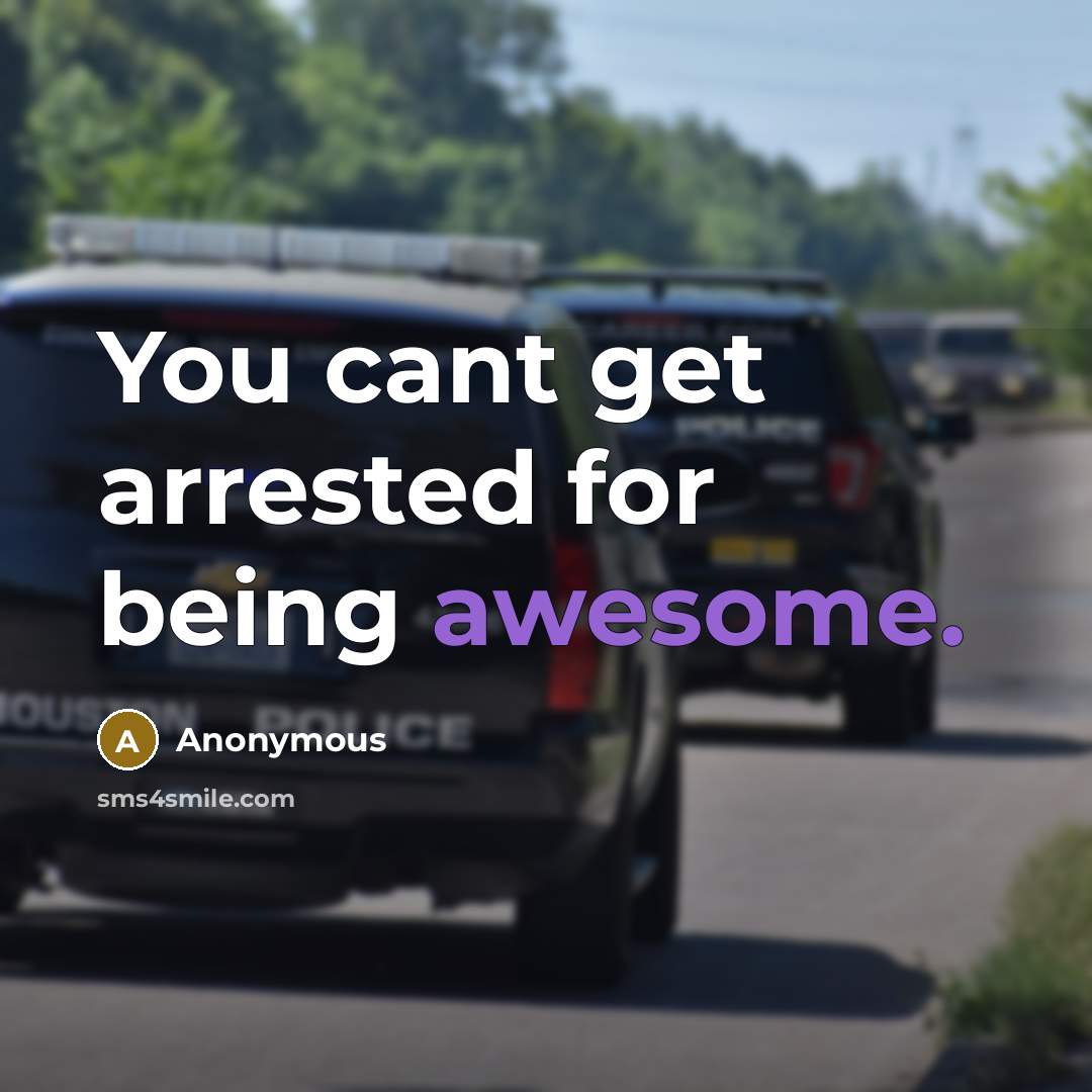 “You cant get arrested for being awesome.” quote by Anonymous