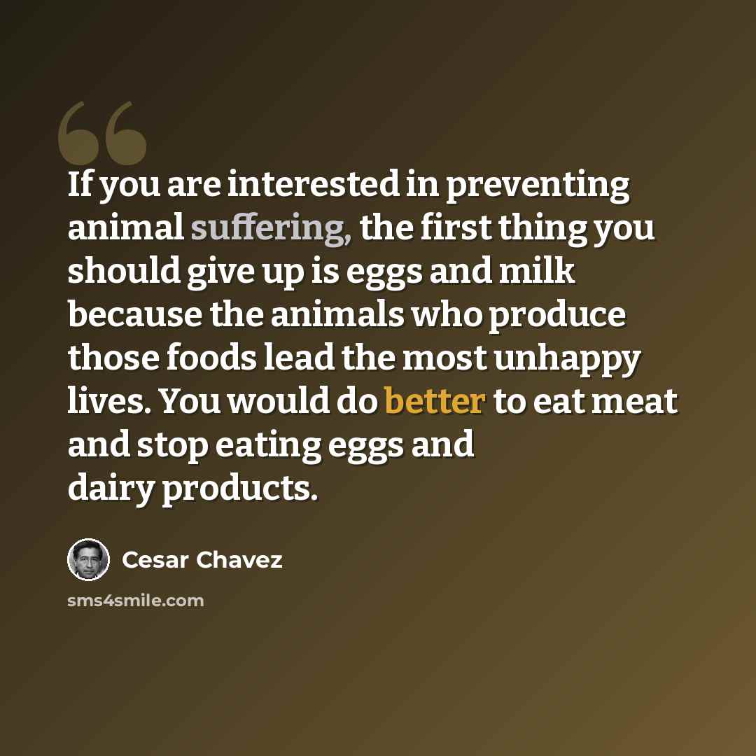 “If you are interested in preventing animal suffering, the first thing you should give up is eggs and milk because the animals who produce those foods lead the most unhappy lives. You would do better to eat meat and stop eating eggs and dairy products.” quote by Cesar Chavez