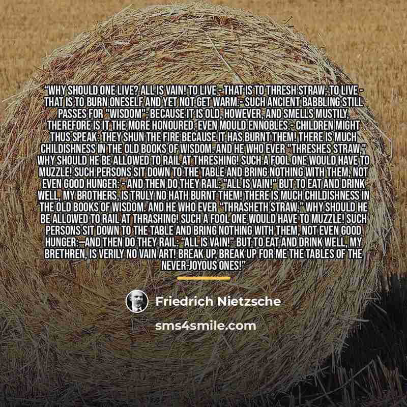 “Why should one live? All is vain! To live - that is to thresh straw; to live - that is to burn oneself and yet not get warm.- Such ancient babbling still passes for "wisdom"; because it is old, however, and smells mustily, therefore is it the more honoured. Even mould ennobles.- Children might…” quote by Friedrich Nietzsche