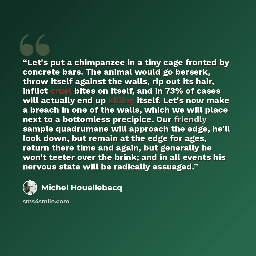 “Let's put a chimpanzee in a tiny cage fronted by concrete bars. The animal would go berserk, throw itself against the walls, rip out its hair, inflict cruel bites on itself, and in 73% of cases will actually end up killing itself. Let's now make a breach in one of the walls, which we will place…” quote by Michel Houellebecq