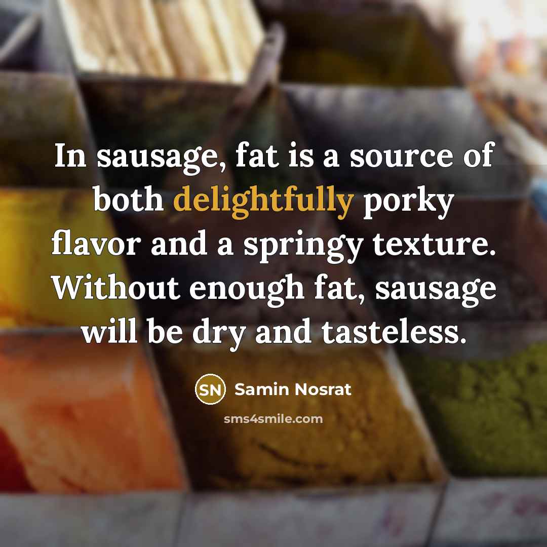 “In sausage, fat is a source of both delightfully porky flavor and a springy texture. Without enough fat, sausage will be dry and tasteless.” quote by Samin Nosrat