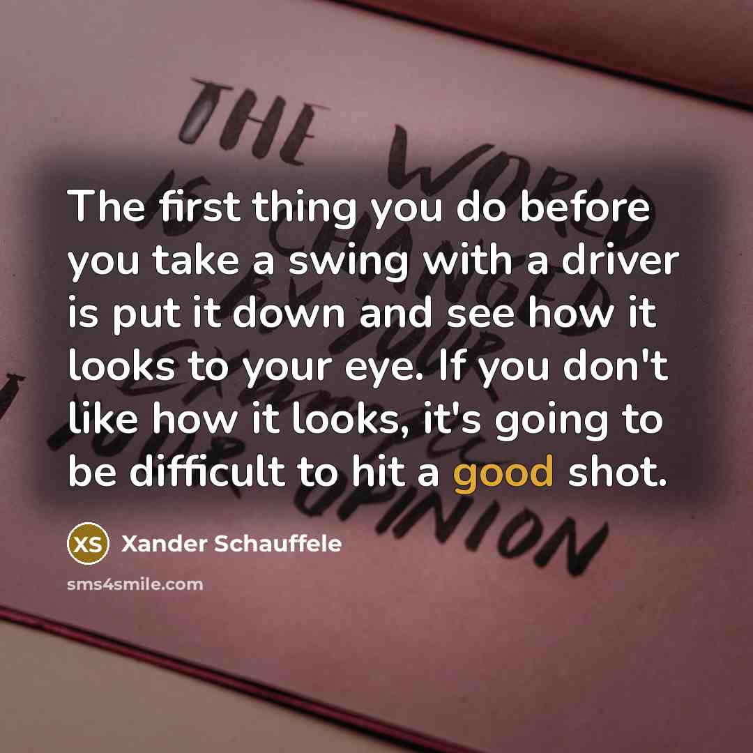 “The first thing you do before you take a swing with a driver is put it down and see how it looks to your eye. If you don't like how it looks, it's going to be difficult to hit a good shot.” quote by Xander Schauffele