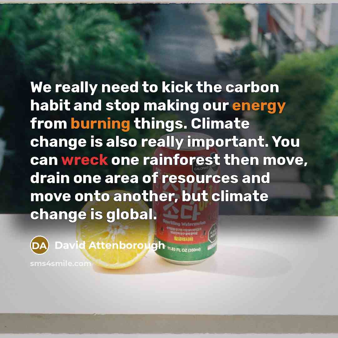 “We really need to kick the carbon habit and stop making our energy from burning things. Climate change is also really important. You can wreck one rainforest then move, drain one area of resources and move onto another, but climate change is global.” quote by David Attenborough