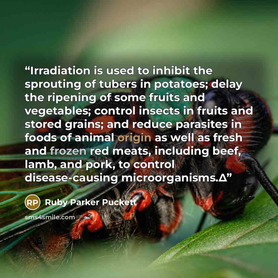 “Irradiation is used to inhibit the sprouting of tubers in potatoes; delay the ripening of some fruits and vegetables; control insects in fruits and stored grains; and reduce parasites in foods of animal origin as well as fresh and frozen red meats, including beef, lamb, and pork, to control…” quote by Ruby Parker Puckett
