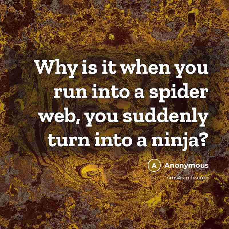 “Why is it when you run into a spider web, you suddenly turn into a ninja?” quote by Anonymous