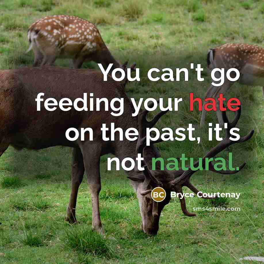 “You can't go feeding your hate on the past, it's not natural.” quote by Bryce Courtenay