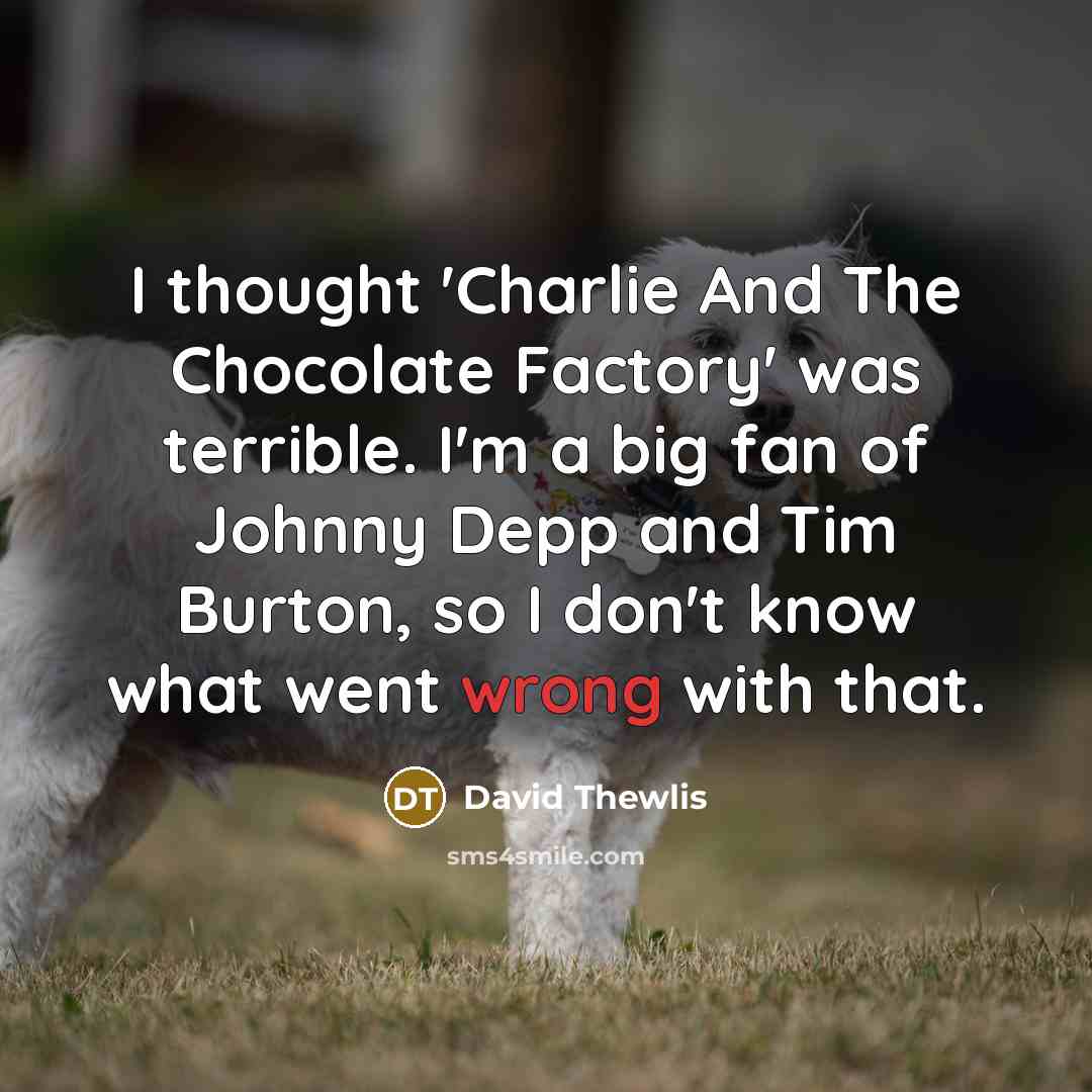 “I thought 'Charlie And The Chocolate Factory' was terrible. I'm a big fan of Johnny Depp and Tim Burton, so I don't know what went wrong with that.” quote by David Thewlis