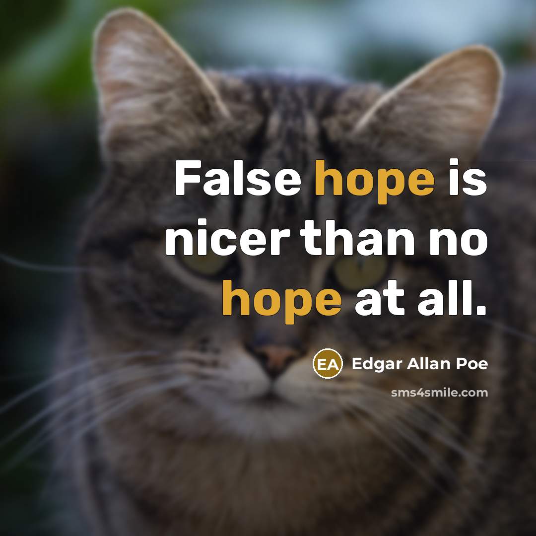 “False hope is nicer than no hope at all.” quote by Edgar Allan Poe