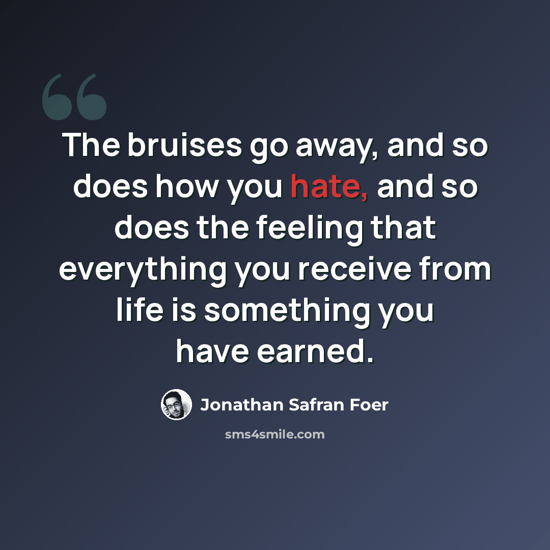 “The bruises go away, and so does how you hate, and so does the feeling that everything you receive from life is something you have earned.” quote by Jonathan Safran Foer