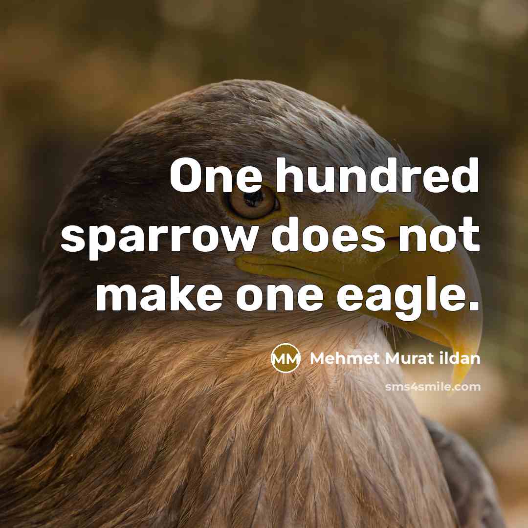 “One hundred sparrow does not make one eagle.” quote by Mehmet Murat Ildan