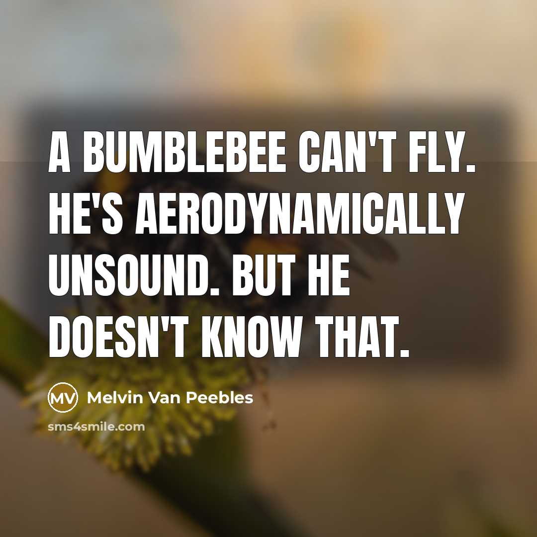 “A bumblebee can't fly. He's aerodynamically unsound. But he doesn't know that.” quote by Melvin Van Peebles