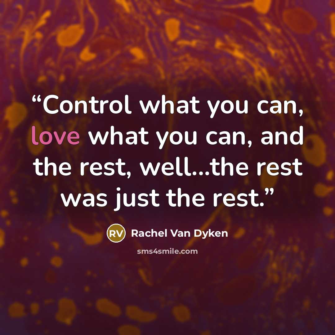 “Control what you can, love what you can, and the rest, well...the rest was just the rest.” quote by Rachel Van Dyken