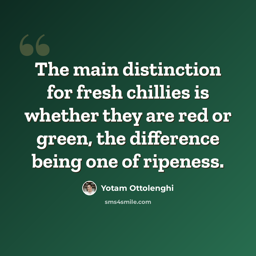 “The main distinction for fresh chillies is whether they are red or green, the difference being one of ripeness.” quote by Yotam Ottolenghi
