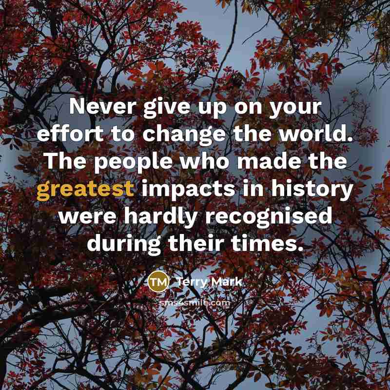 “Never give up on your effort to change the world. The people who made the greatest impacts in history were hardly recognised during their times.” quote by Terry Mark
