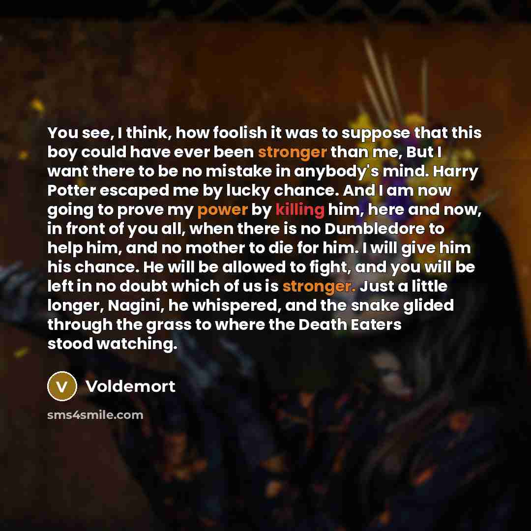 “You see, I think, how foolish it was to suppose that this boy could have ever been stronger than me, But I want there to be no mistake in anybody's mind. Harry Potter escaped me by lucky chance. And I am now going to prove my power by killing him, here and now, in front of you all, when there is…” quote by Voldemort