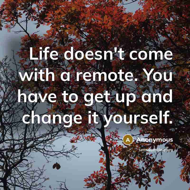 “Life doesn't come with a remote. You have to get up and change it yourself.” quote by Anonymous