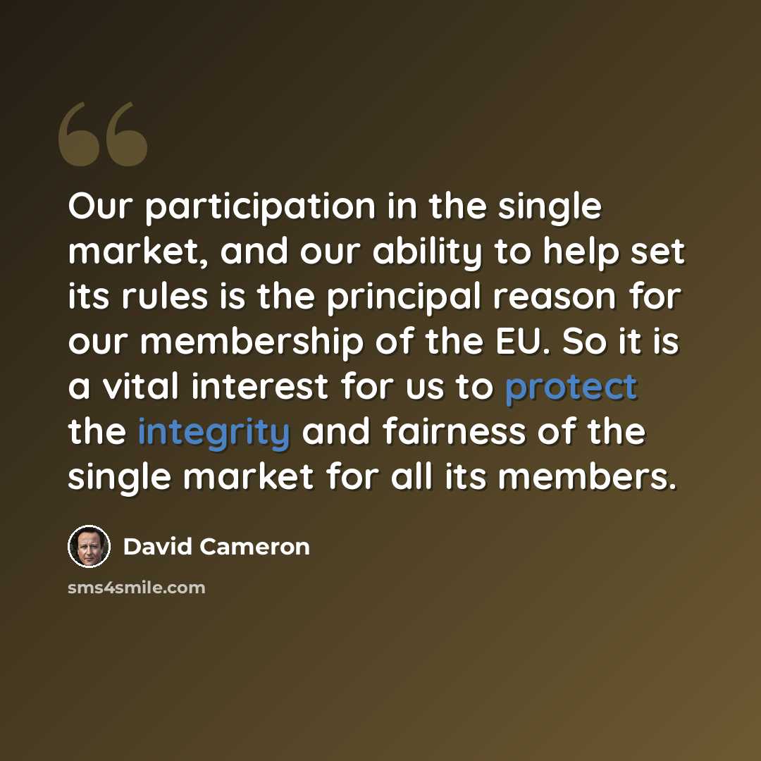 “Our participation in the single market, and our ability to help set its rules is the principal reason for our membership of the EU. So it is a vital interest for us to protect the integrity and fairness of the single market for all its members.” quote by David Cameron