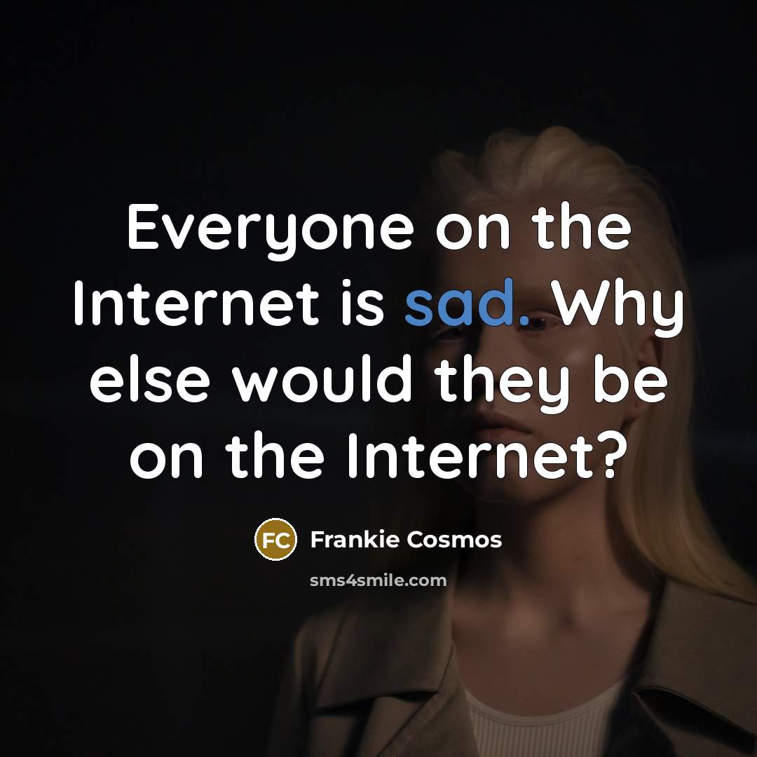“Everyone on the Internet is sad. Why else would they be on the Internet?” quote by Frankie Cosmos