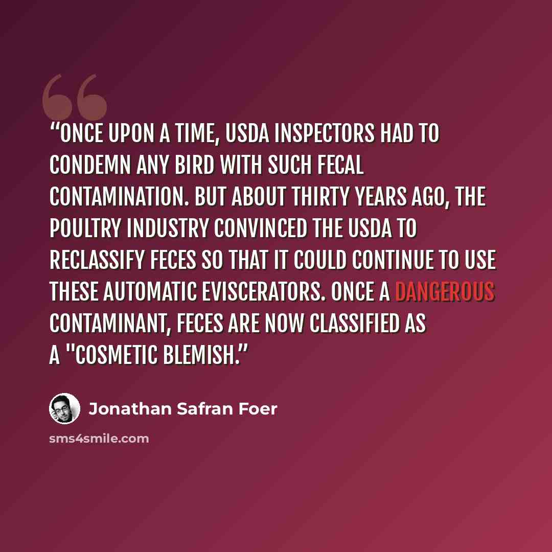 “Once upon a time, USDA inspectors had to condemn any bird with such fecal contamination. But about thirty years ago, the poultry industry convinced the USDA to reclassify feces so that it could continue to use these automatic eviscerators. Once a dangerous contaminant, feces are now classified as…” quote by Jonathan Safran Foer