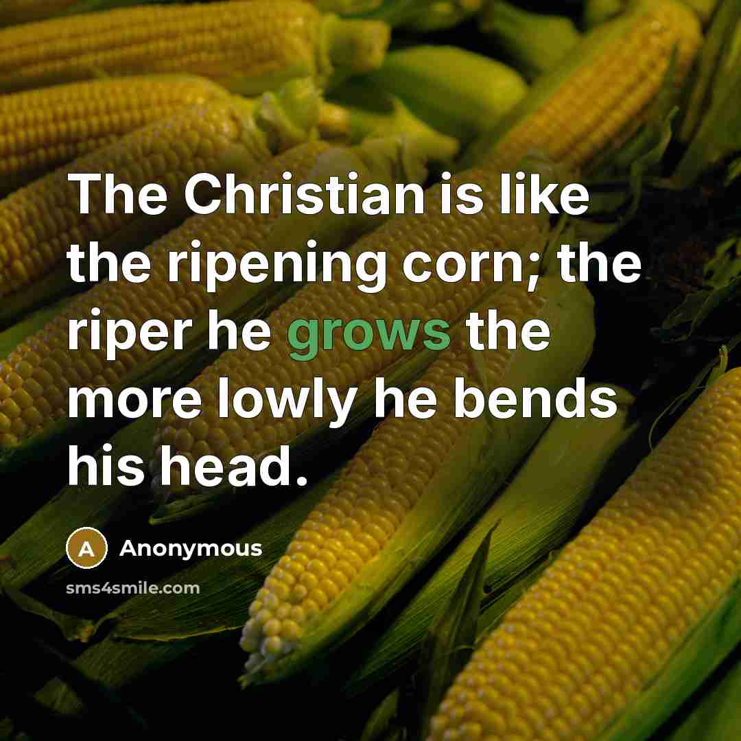 “The Christian is like the ripening corn; the riper he grows the more lowly he bends his head.” quote by Anonymous