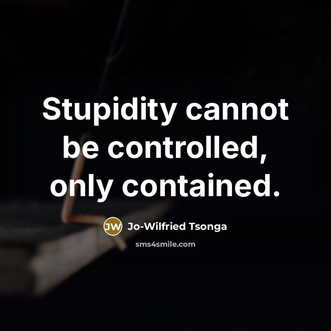 “Stupidity cannot be controlled, only contained.” quote by Jo-Wilfried Tsonga