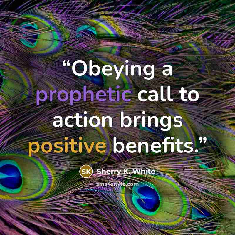 “Obeying a prophetic call to action brings positive benefits.” quote by Sherry K. White