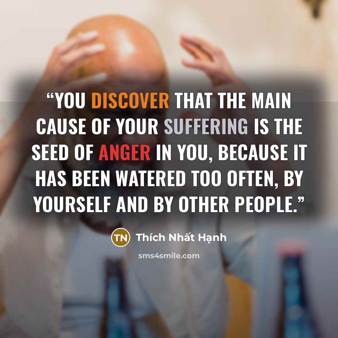 “You discover that the main cause of your suffering is the seed of anger in you, because it has been watered too often, by yourself and by other people.” quote by Thich Nhat Hanh