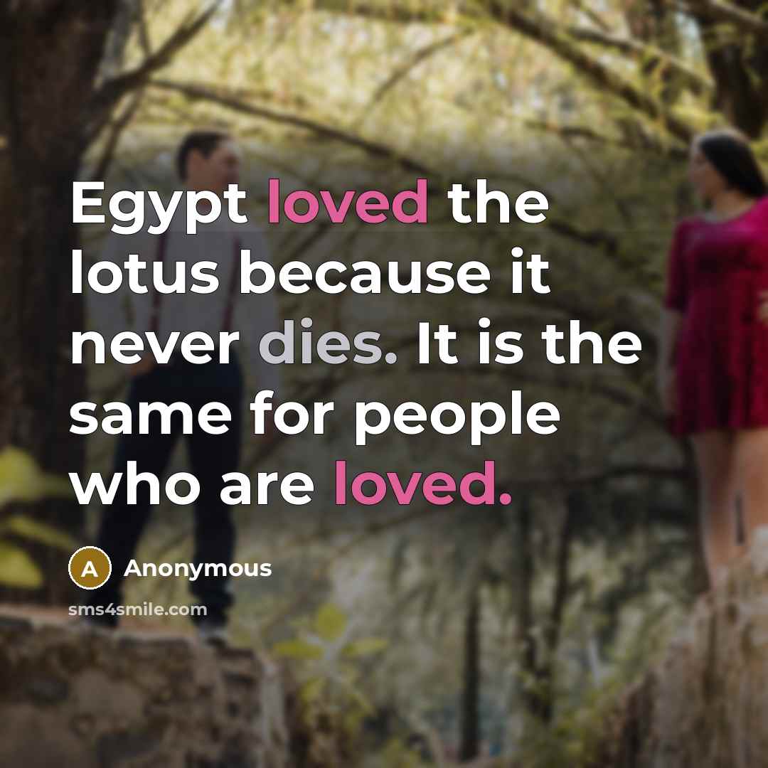 “Egypt loved the lotus because it never dies. It is the same for people who are loved.” quote by Anonymous