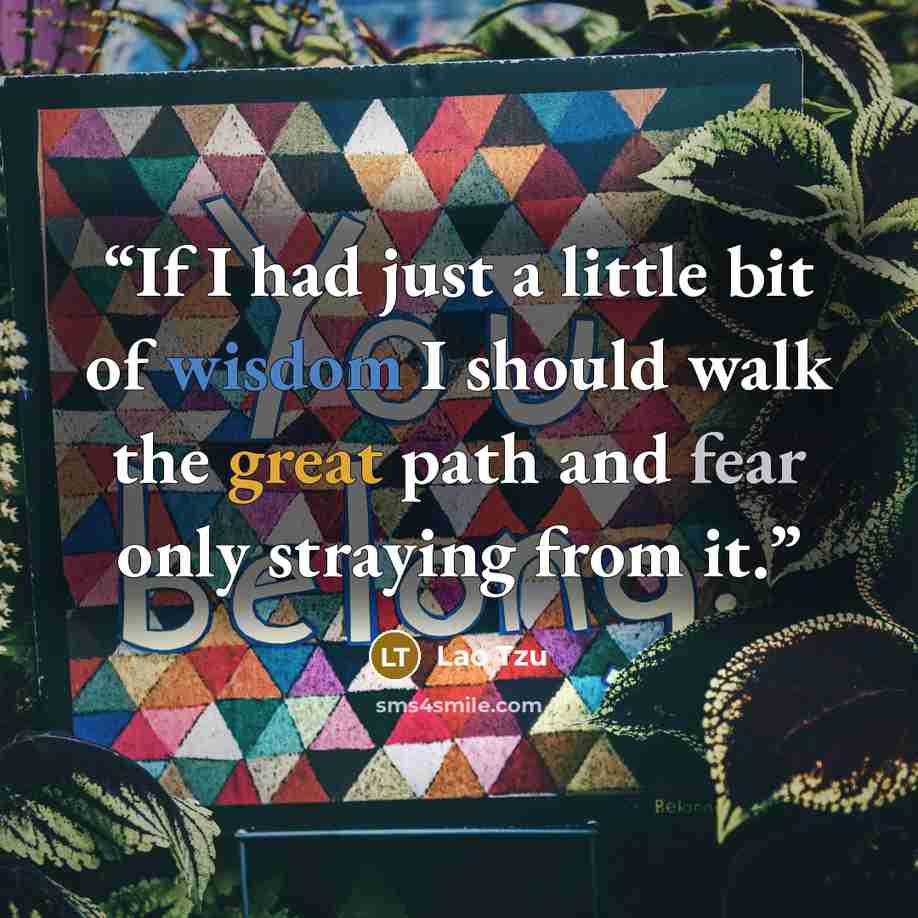 “If I had just a little bit of wisdom I should walk the great path and fear only straying from it.” quote by Lao Tzu