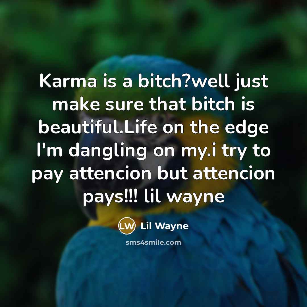 “Karma is a bitch?well just make sure that bitch is beautiful.Life on the edge I'm dangling on my.i try to pay attencion but attencion pays!!! lil wayne” quote by Lil Wayne