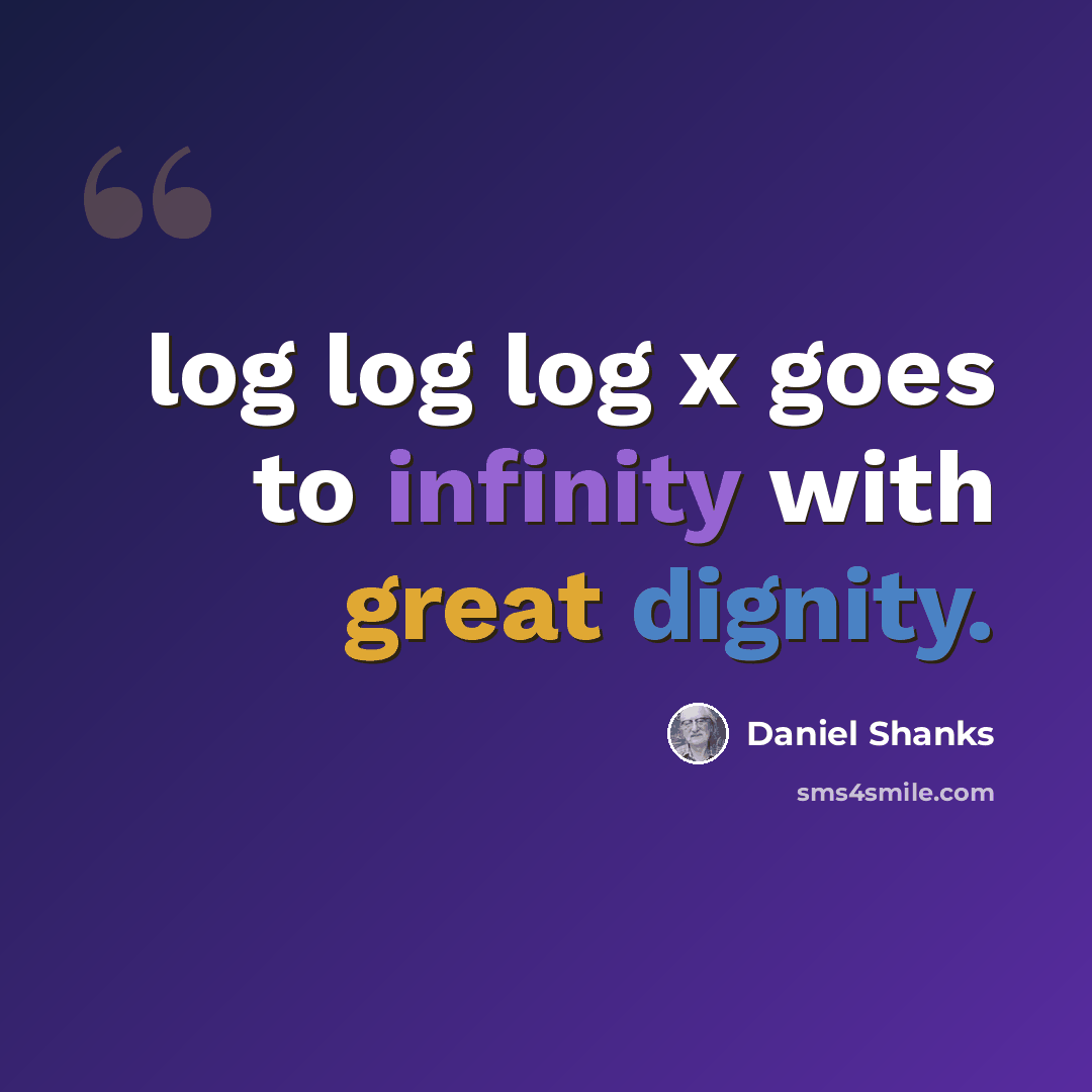 “log log log x goes to infinity with great dignity.” quote by Daniel Shanks